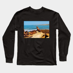 San Diego La Jolla Cove Sea Lions California USA Photography Long Sleeve T-Shirt